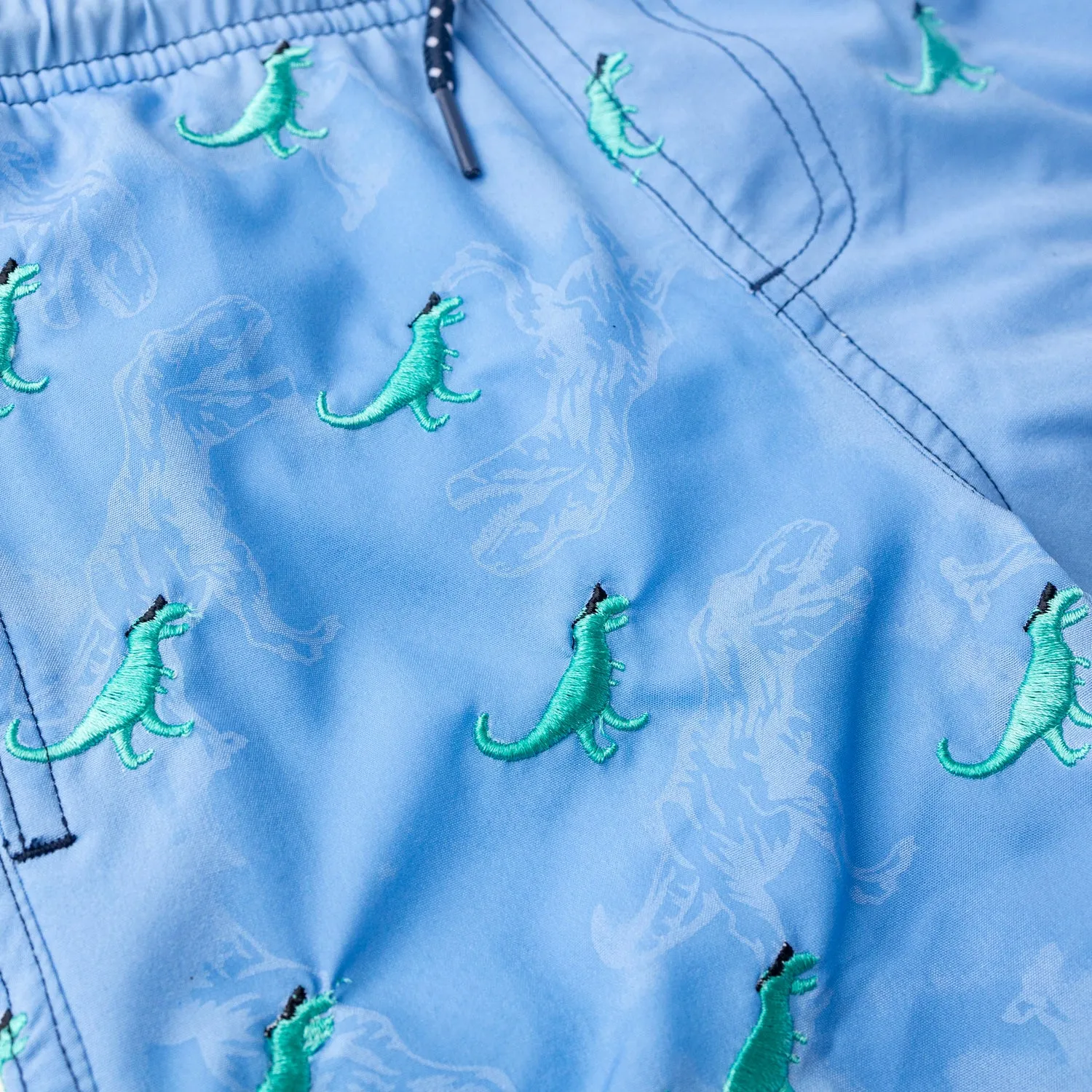 Swim Trunk - Dino Water Appearing