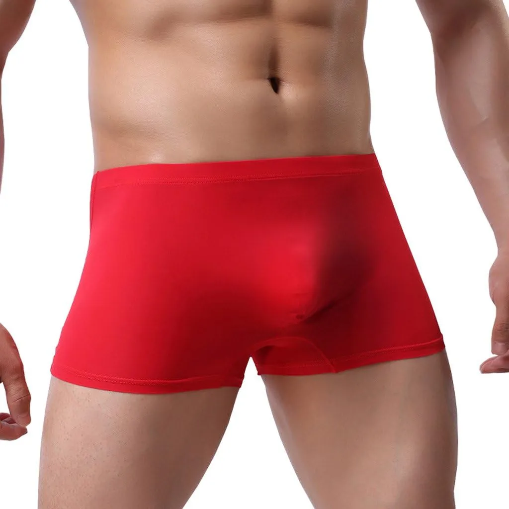 WINDAY Men Briefs Breathable Ice Silk Boxer Bikinis and Briefs N05
