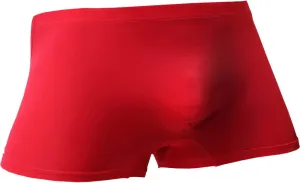 WINDAY Men Briefs Breathable Ice Silk Boxer Bikinis and Briefs N05