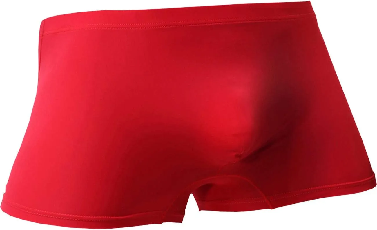 WINDAY Men Briefs Breathable Ice Silk Boxer Bikinis and Briefs N05