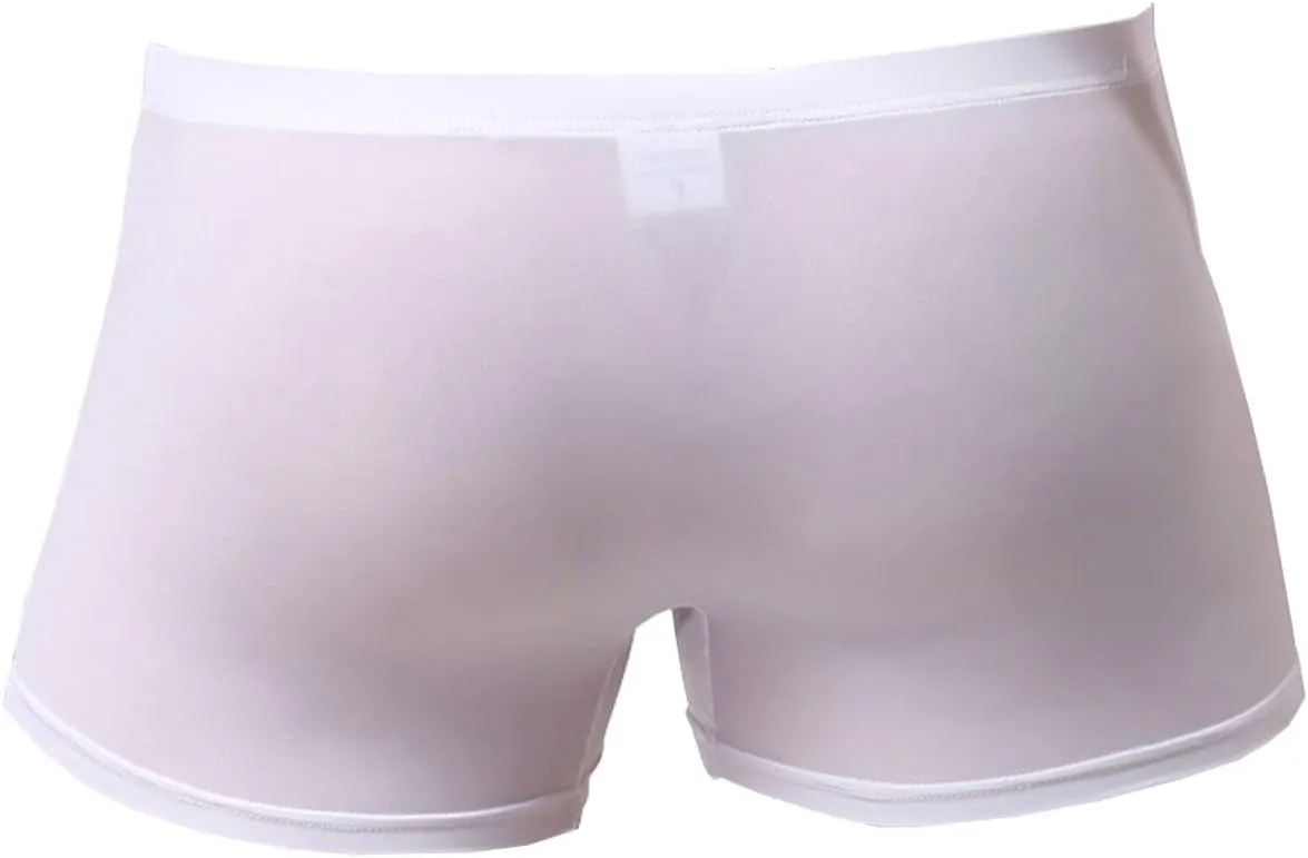 WINDAY Men Briefs Breathable Ice Silk Boxer Bikinis and Briefs N05